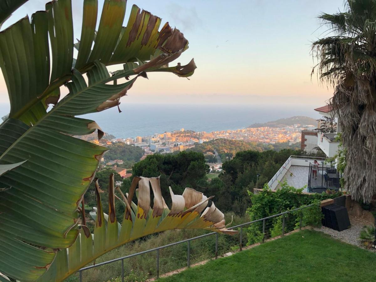 Villa Oasis Costa Brava Lloret de Mar Zewnętrze zdjęcie