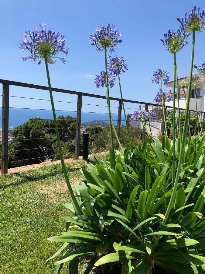 Villa Oasis Costa Brava Lloret de Mar Zewnętrze zdjęcie